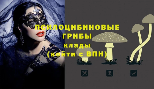 прущие крисы Баксан