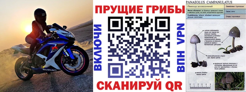 Псилоцибиновые грибы прущие грибы  МЕГА зеркало  Губаха 