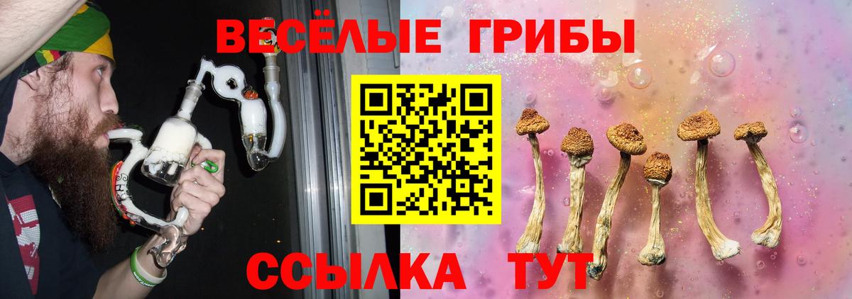 Галлюциногенные грибы MAGIC MUSHROOMS Губаха